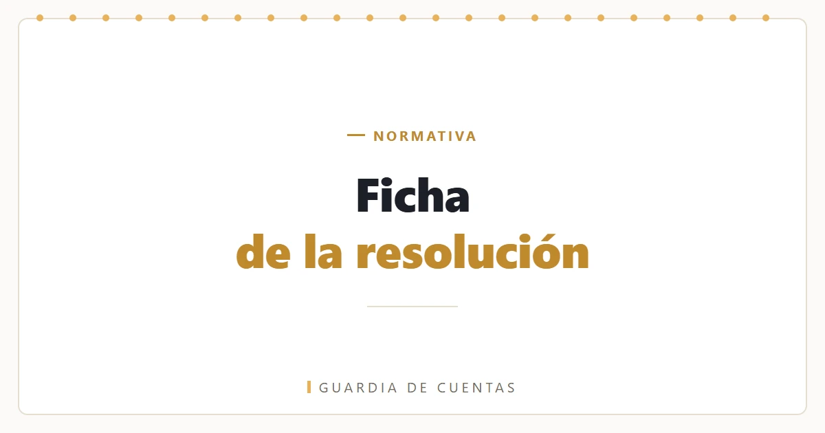 Resolución 207/2025, resumen y ficha